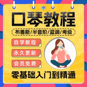 口琴自学视频教程教学24孔半音阶教学零基础布鲁斯入门到精通课程