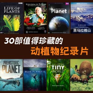 自然奇观大揭秘：30部动植物纪录片，带你领略地球的奥秘